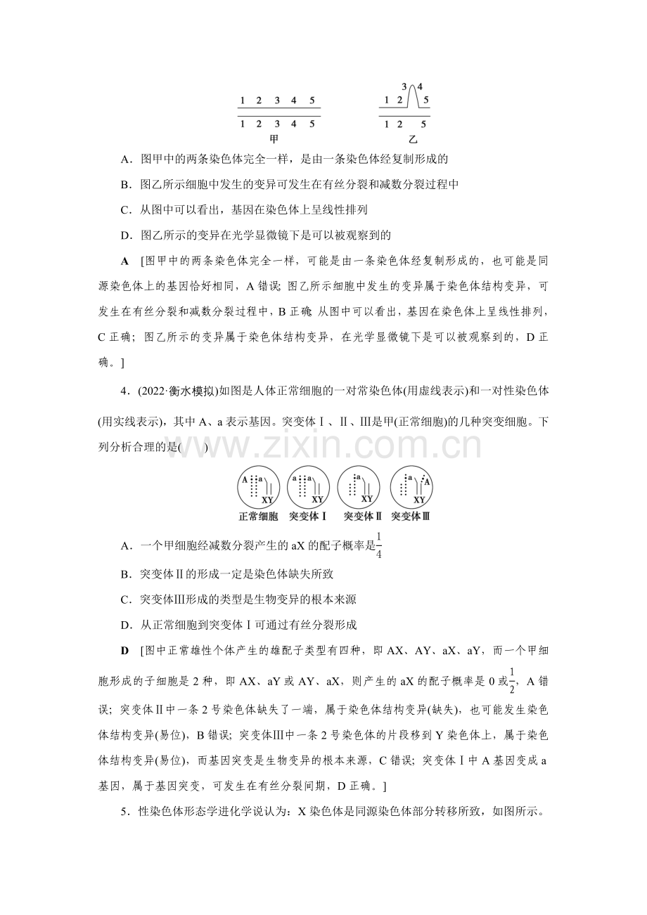 2023高三一轮总复习生物(人教版)21-第七单元--第二讲-染色体变异与生物育种.doc_第2页