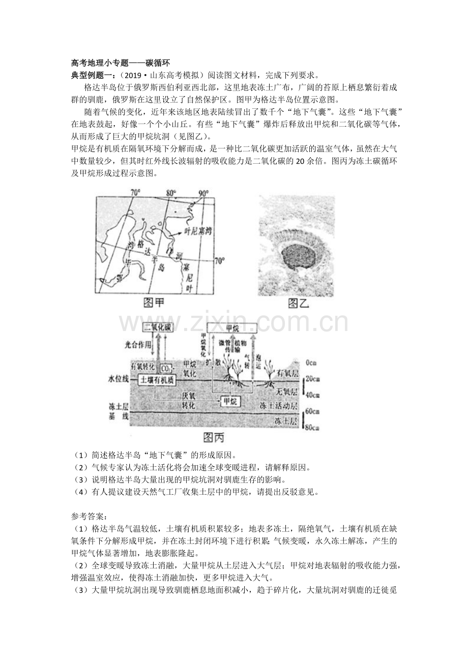 高考地理小专题——碳循环.docx_第1页