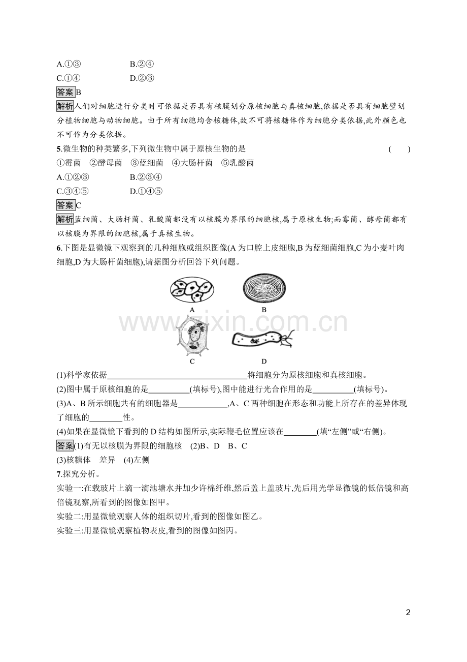 高中生物必修1(人教版)第2节-细胞的多样性和统一性.doc_第2页