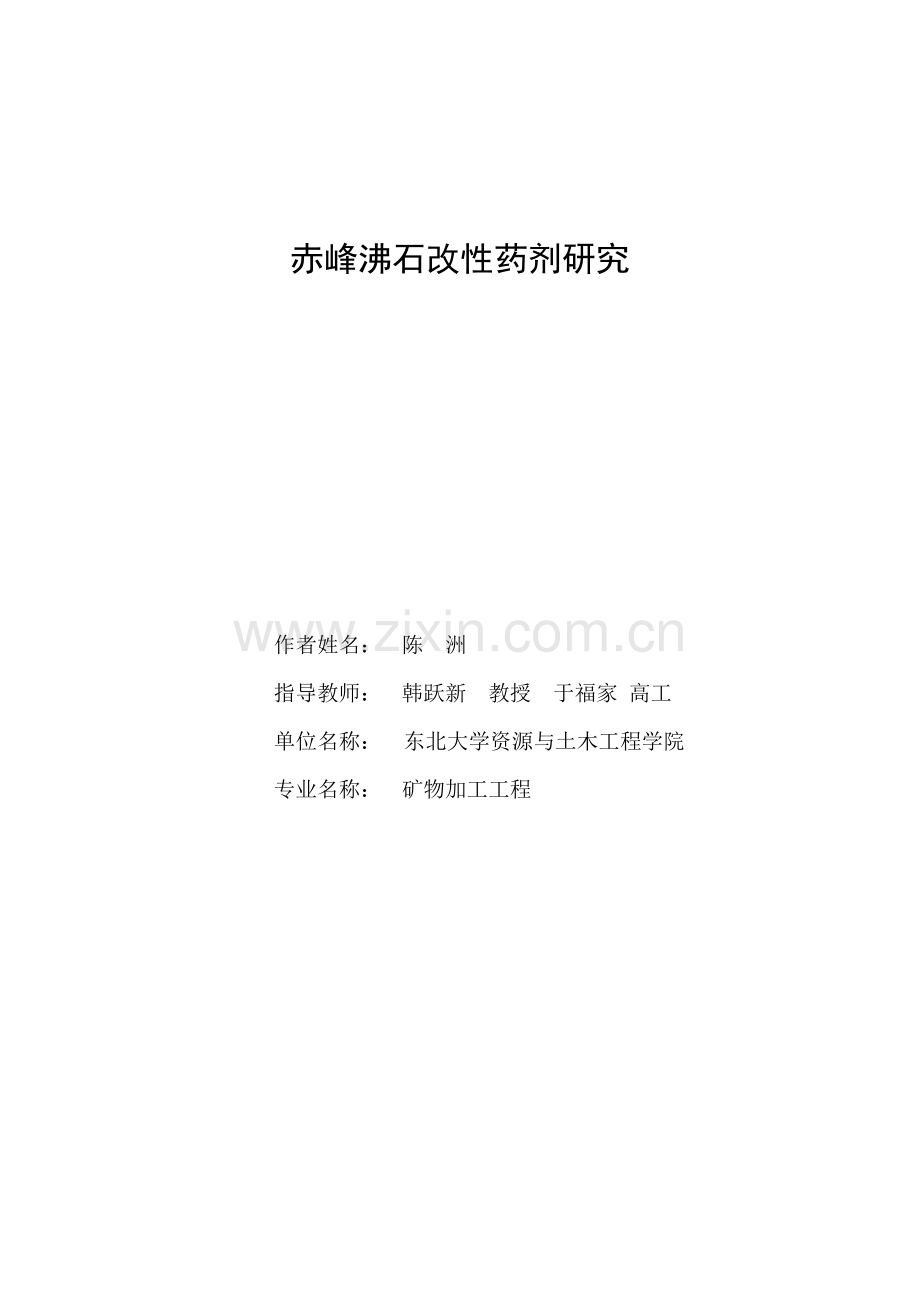 沸石改性药剂研究.doc_第1页