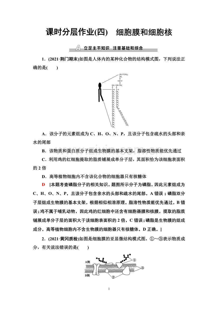 课时分层作业4-细胞膜和细胞核.doc_第1页