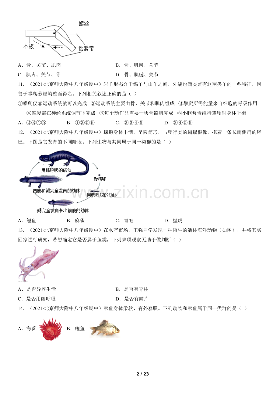 2021北京重点校初二(上)期中生物汇编：生物圈中的其他生物.docx_第2页