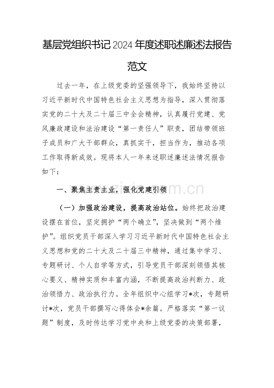 基层党组织书记2024年度述职述廉述法报告范文.docx_第1页