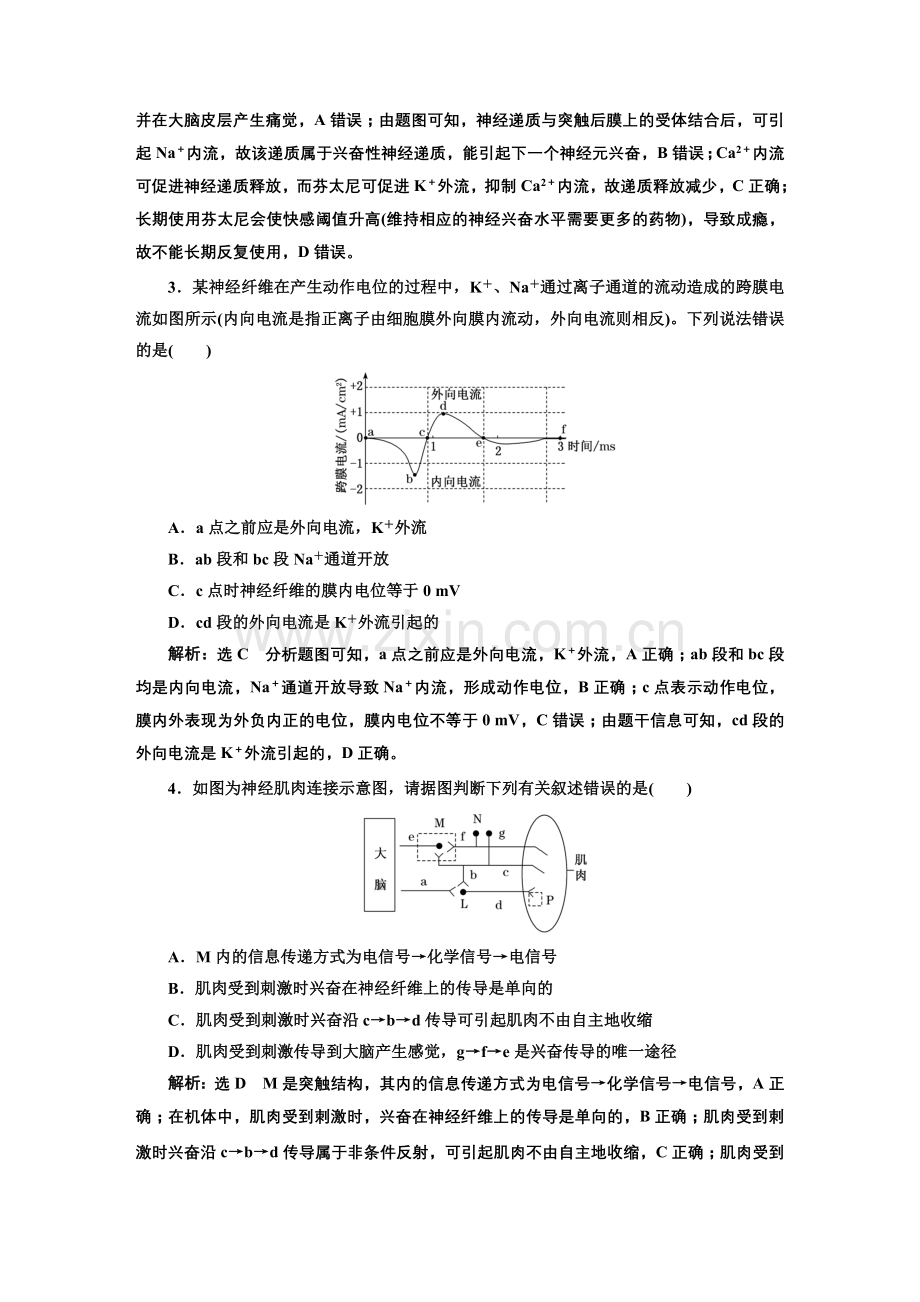 基础自主评价(十)神经—体液调节.doc_第2页