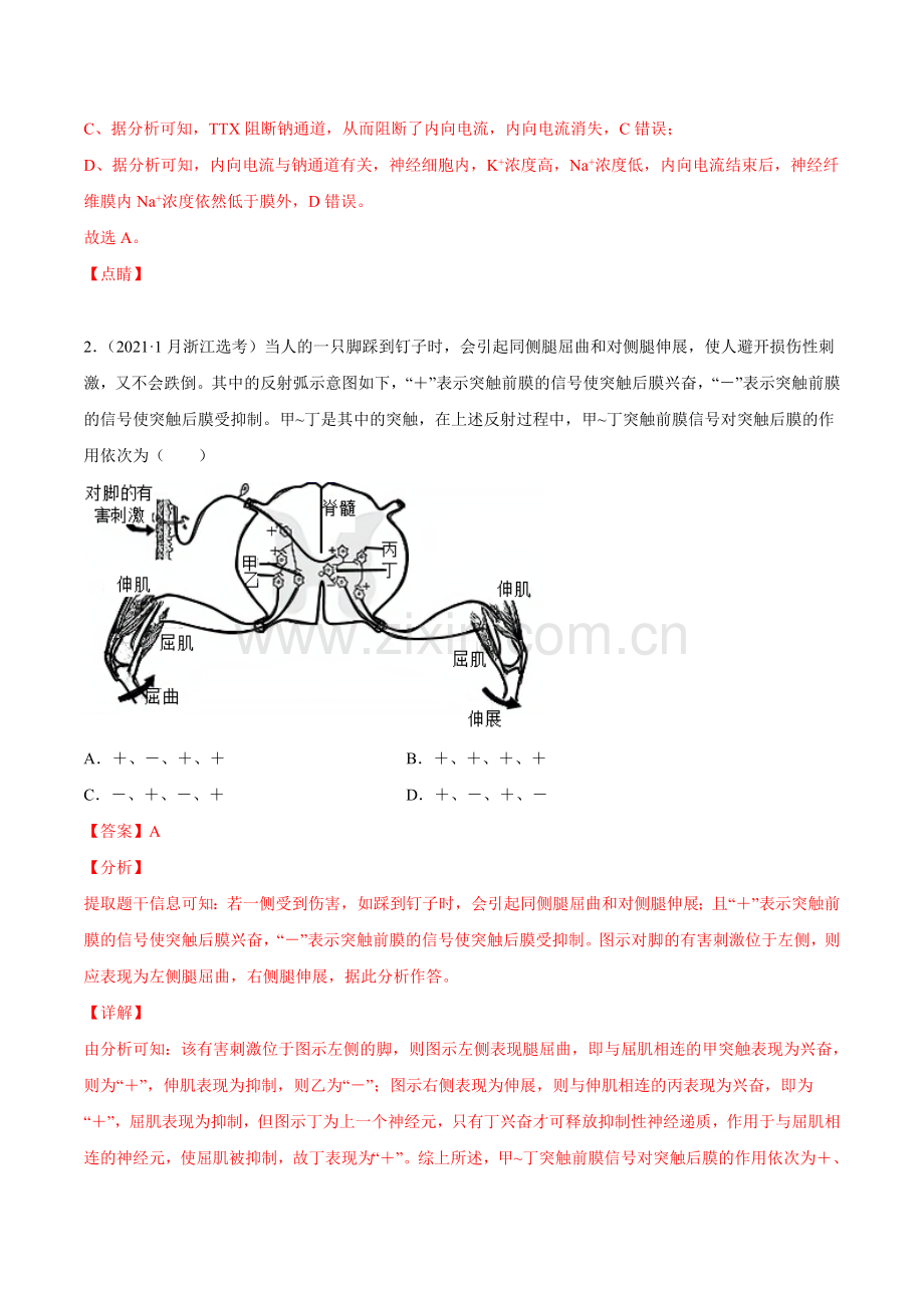 专题13-神经调节-2021年高考真题和模拟题生物分项汇编(解析版).doc_第2页