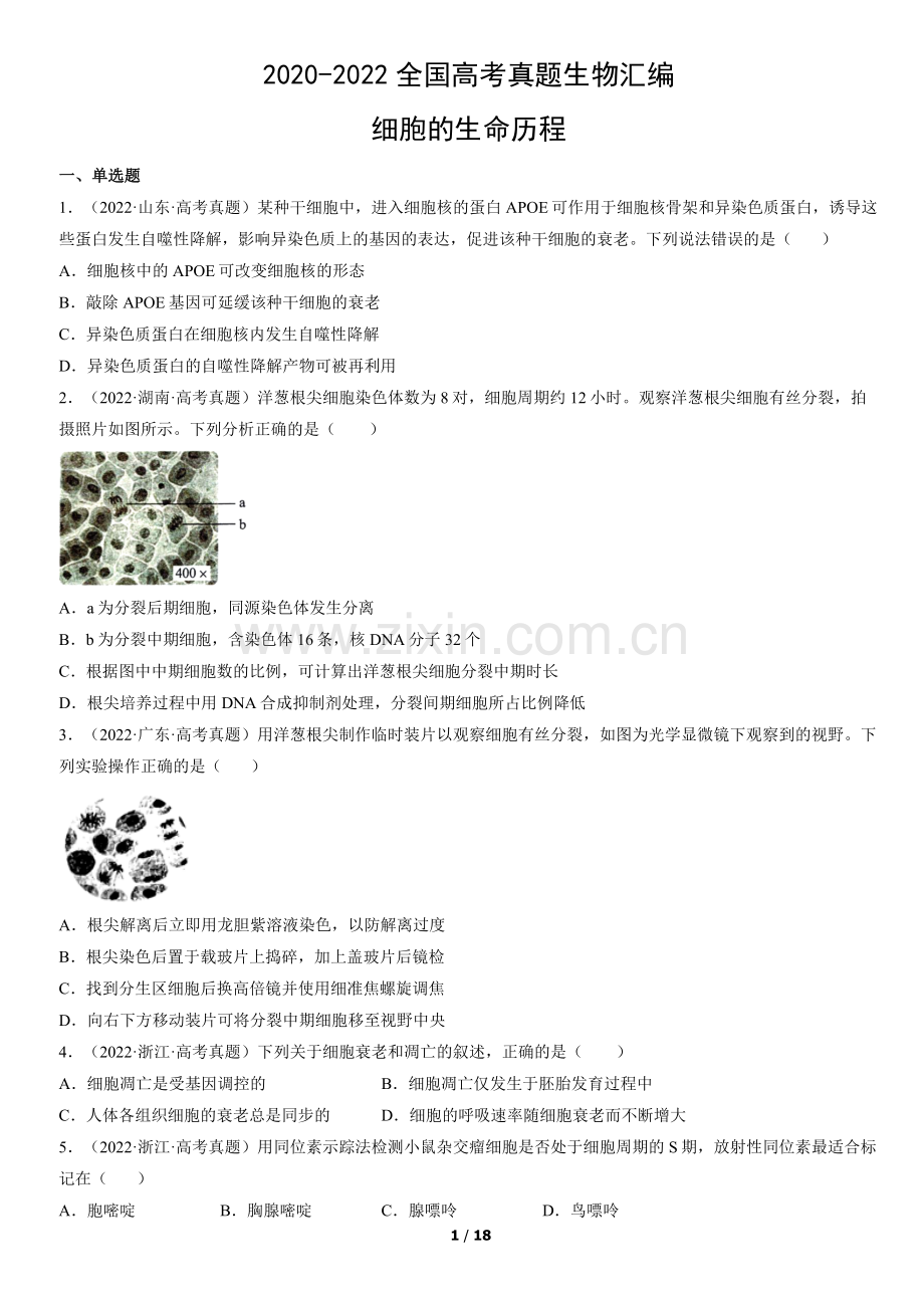2020-2022全国高考真题生物汇编：细胞的生命历程.docx_第1页