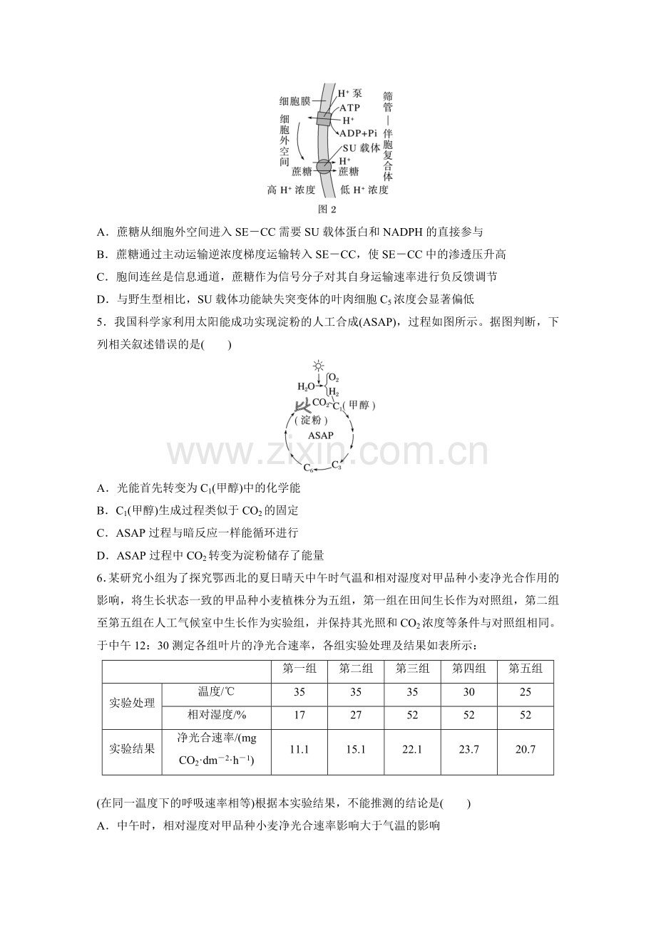专题三-训练4-细胞代谢(B).docx_第2页