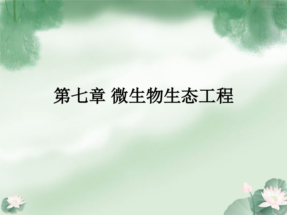 《实用生态工程学》第七章-微生物生态工程.ppt_第1页