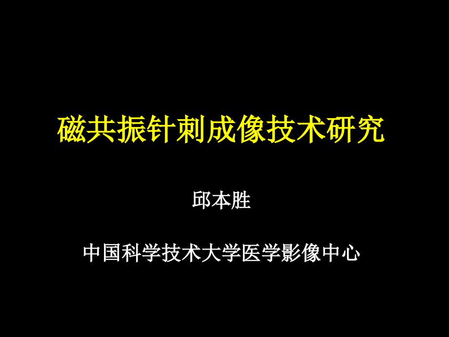 磁共振针刺成像技术研究.ppt_第1页