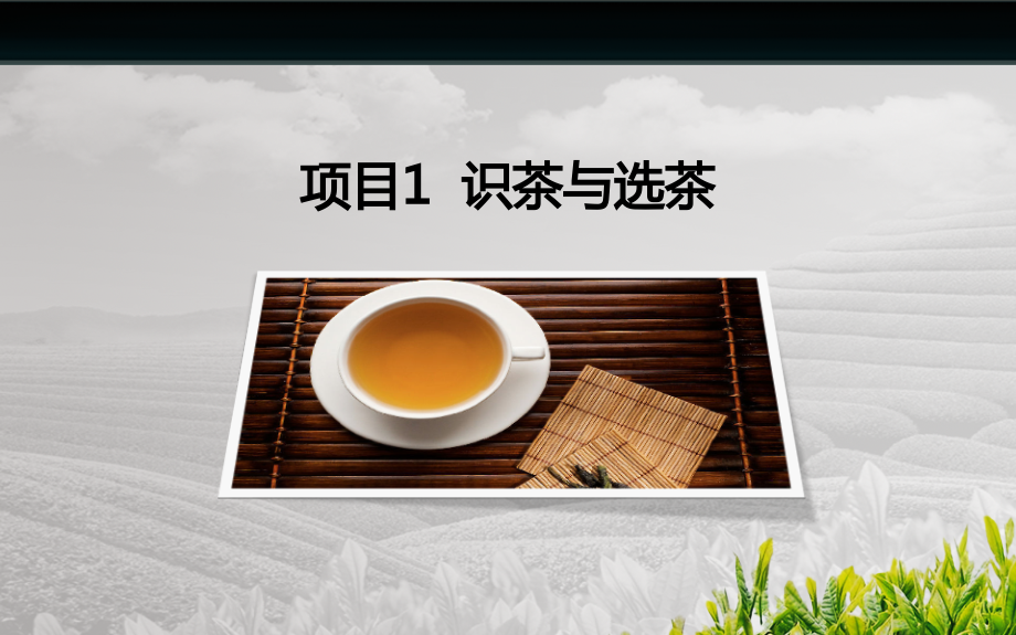 茶艺与茶道-项目1-识茶与选茶.ppt_第2页