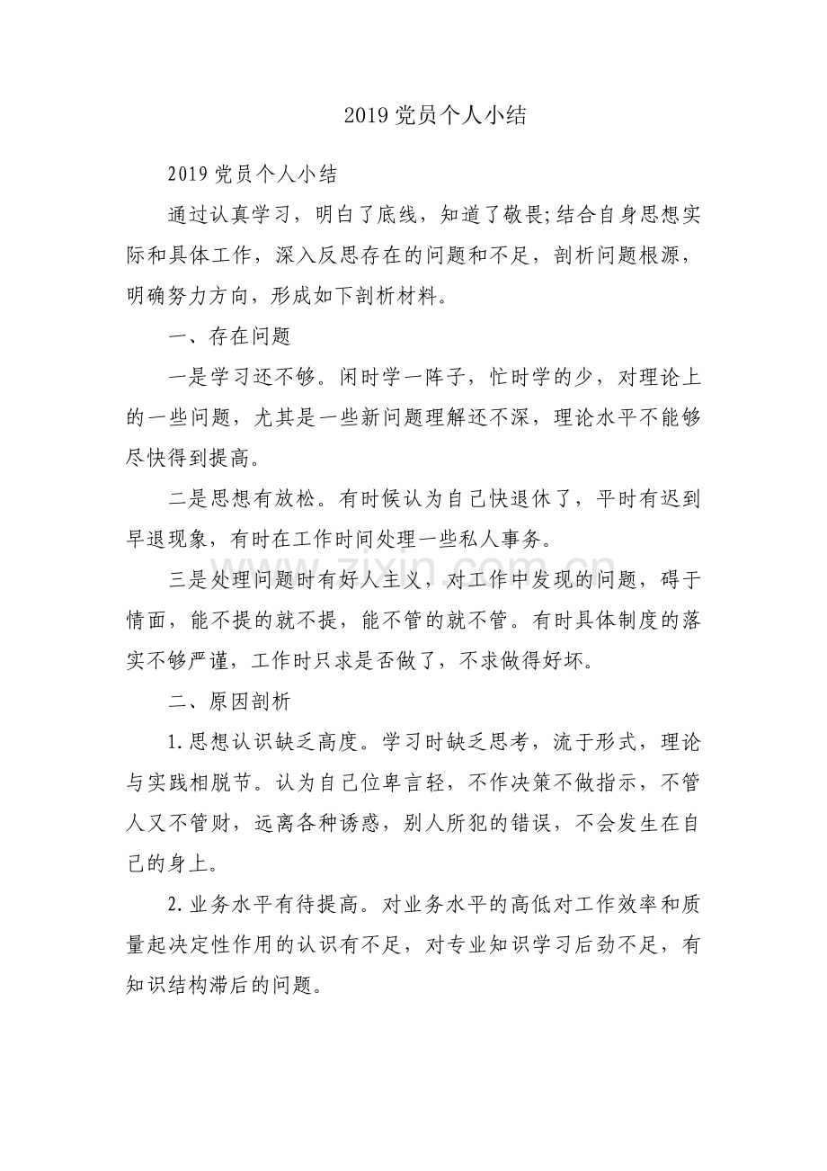 2019党员个人小结.docx_第1页