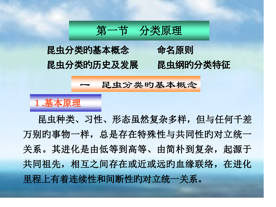 昆虫种类习性形态虽然复杂多样但与任何千差万别的.pptx_第1页