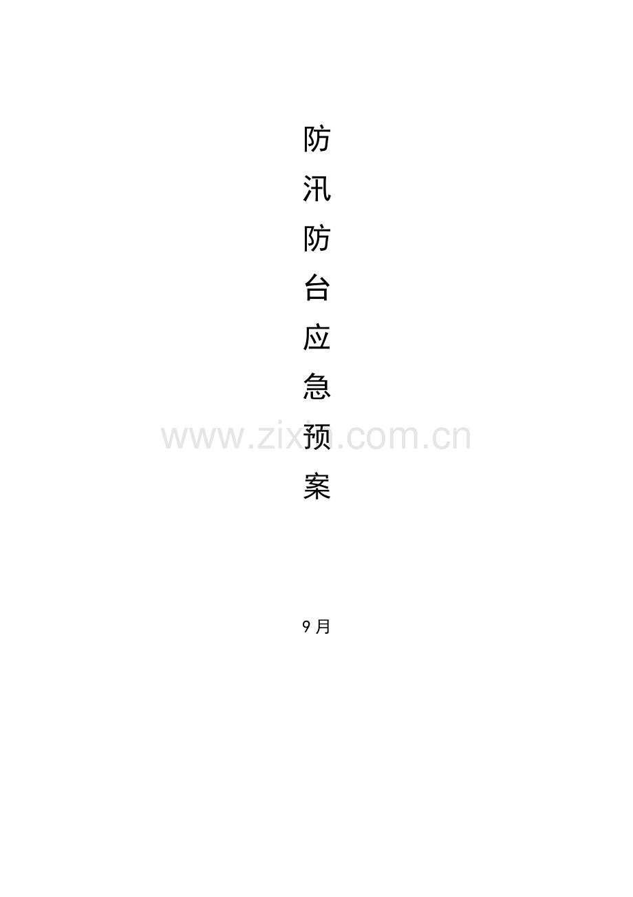 专项项目防汛防台风应急全新预案.doc_第1页