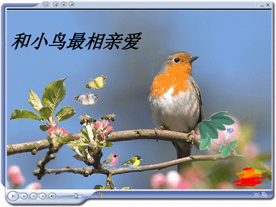 语文五下4.3和小鸟最相亲爱示范.pptx_第1页