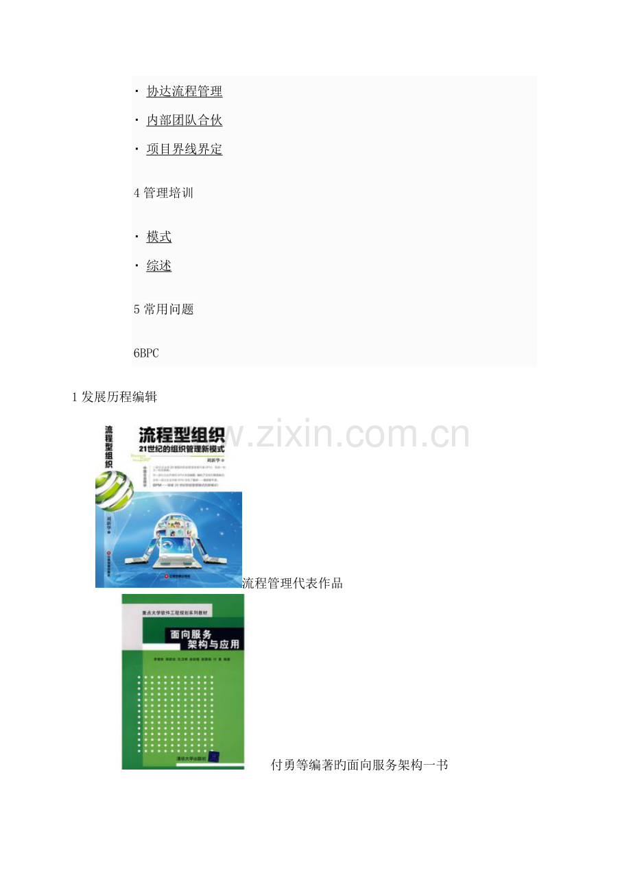 BPM标准流程管理专业资料.doc_第2页