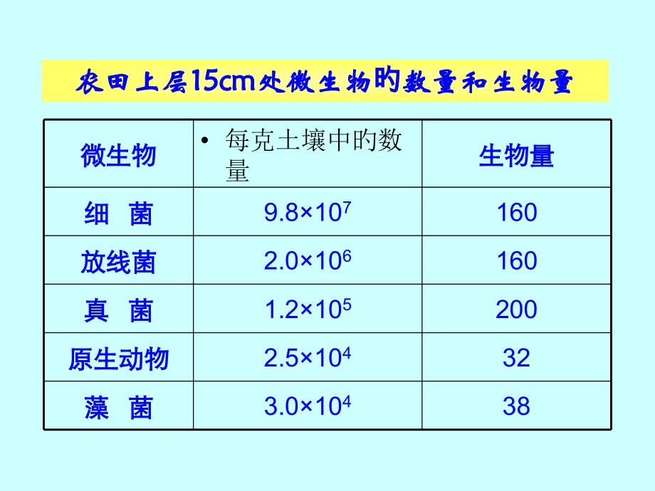 生物5.1《微生物的类群》(老人教版选修).pptx_第2页