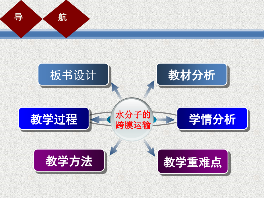 跨膜运输实例说课稿.pptx_第2页