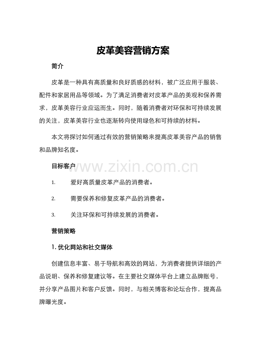 皮革美容营销方案.docx_第1页