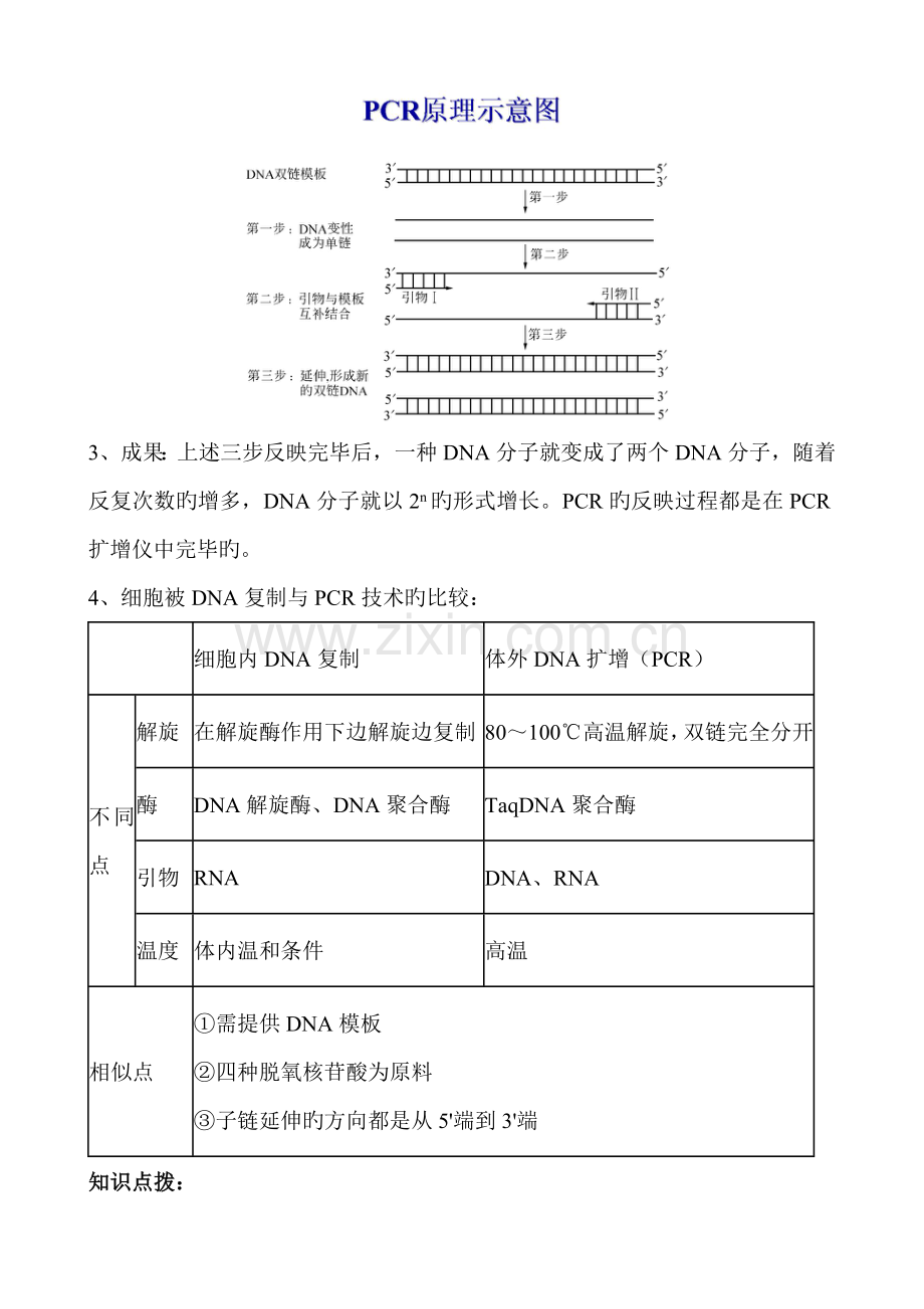 PCR重点技术及习题.doc_第2页