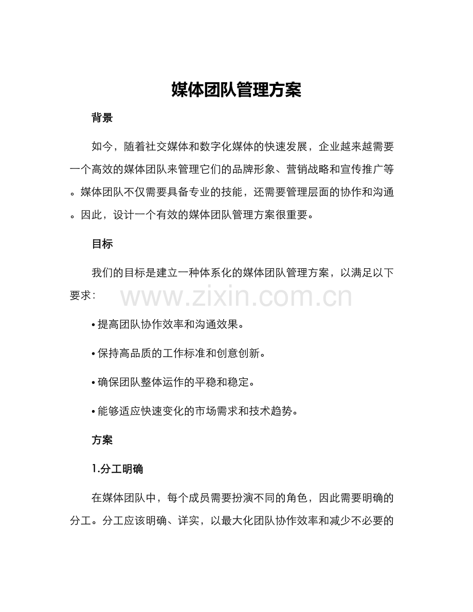 媒体团队管理方案.docx_第1页