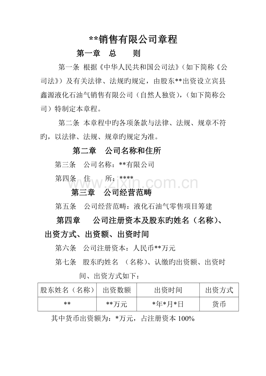 独资公司综合章程模板.doc_第1页