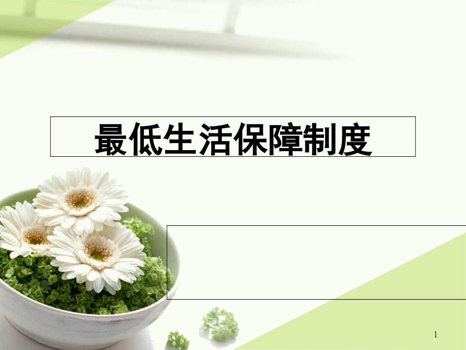 最低生活保障制度.pptx_第1页