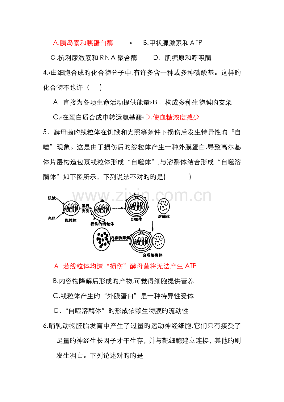 高三理综模拟试题四.doc_第2页