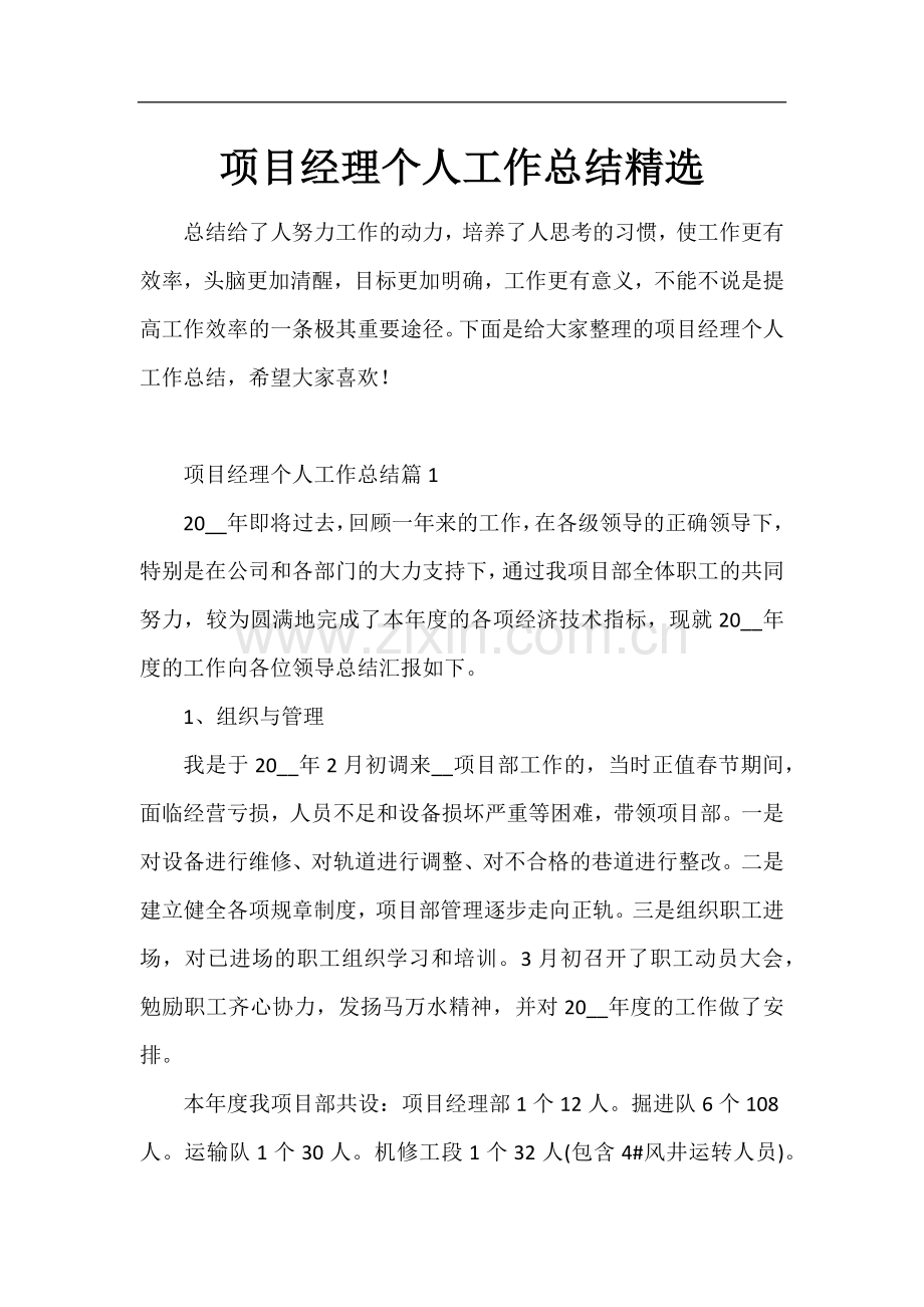 项目经理个人工作总结.docx_第1页