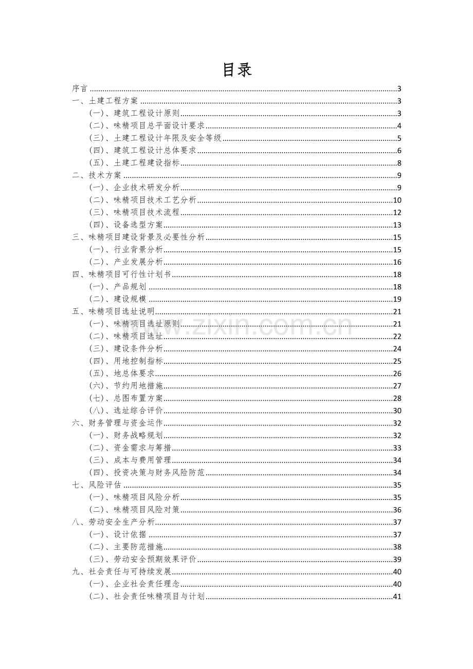 2025年度味精项目可行性计划书.docx_第2页