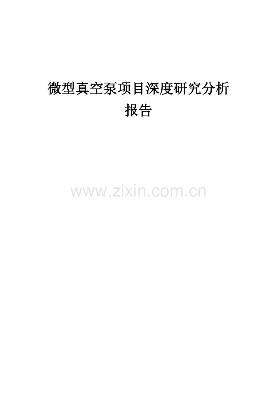 2024年微型真空泵项目深度研究分析报告.docx_第1页