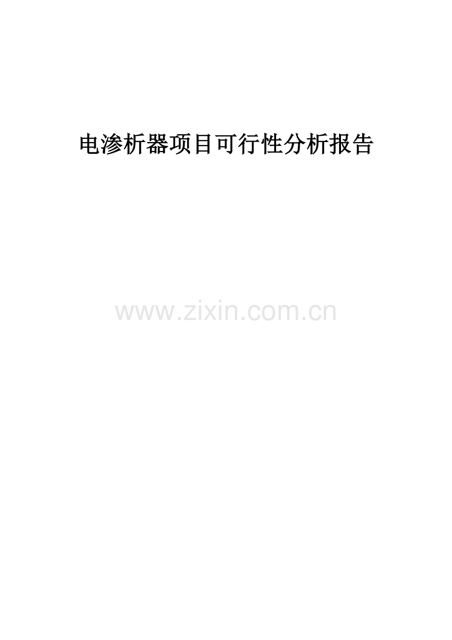 2024年电渗析器项目可行性分析报告.docx_第1页
