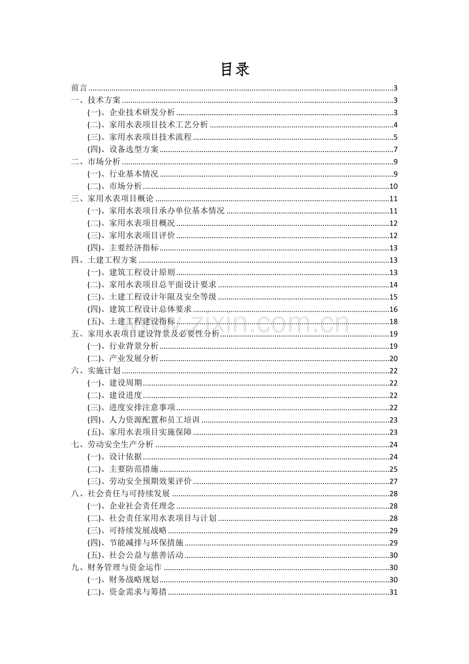 2024年家用水表项目可行性分析报告.docx_第2页