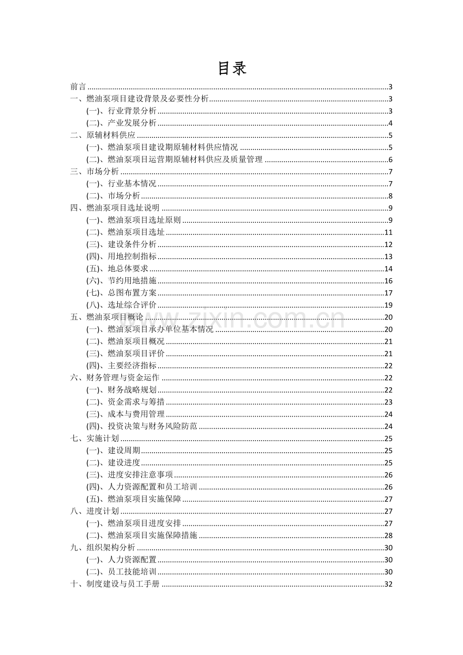 2024年燃油泵项目深度研究分析报告.docx_第2页