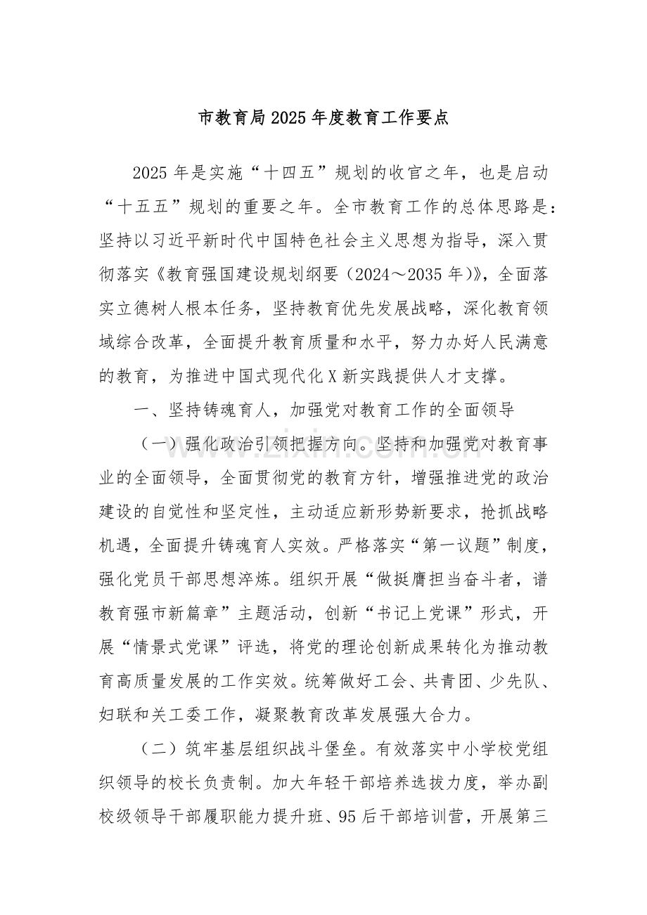 市教育局2025年度教育工作要点.docx_第1页