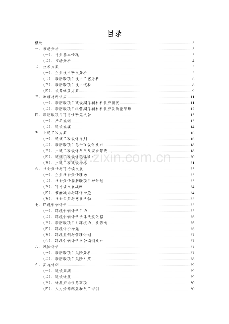 2024年脂肪酸项目深度研究分析报告.docx_第2页