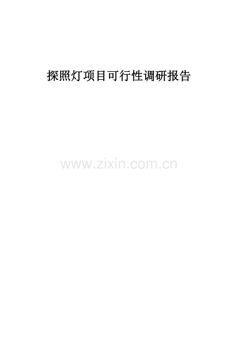 2025年探照灯项目可行性研究报告.docx_第1页