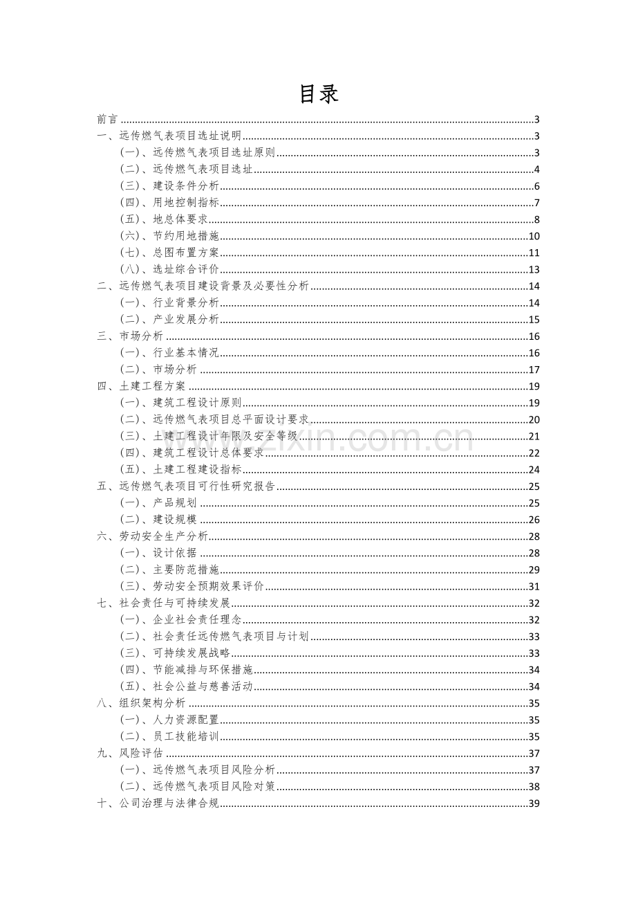 2024年远传燃气表项目可行性分析报告.docx_第2页