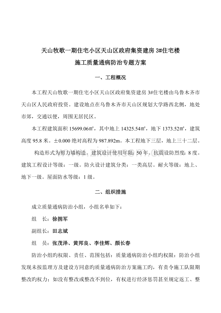 天山牧歌一期质量通病专项方案模板.doc_第2页