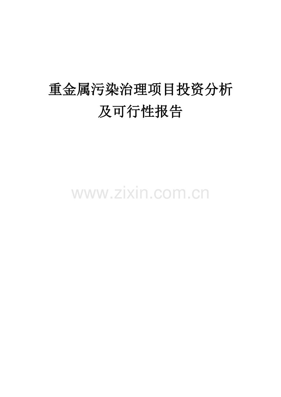 2024年重金属污染治理项目投资分析及可行性报告.docx_第1页