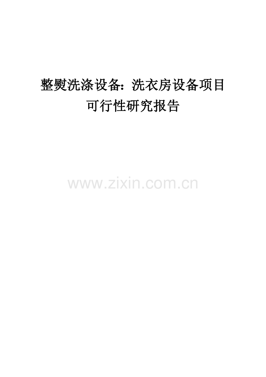 2024年整熨洗涤设备：洗衣房设备项目可行性研究报告.docx_第1页