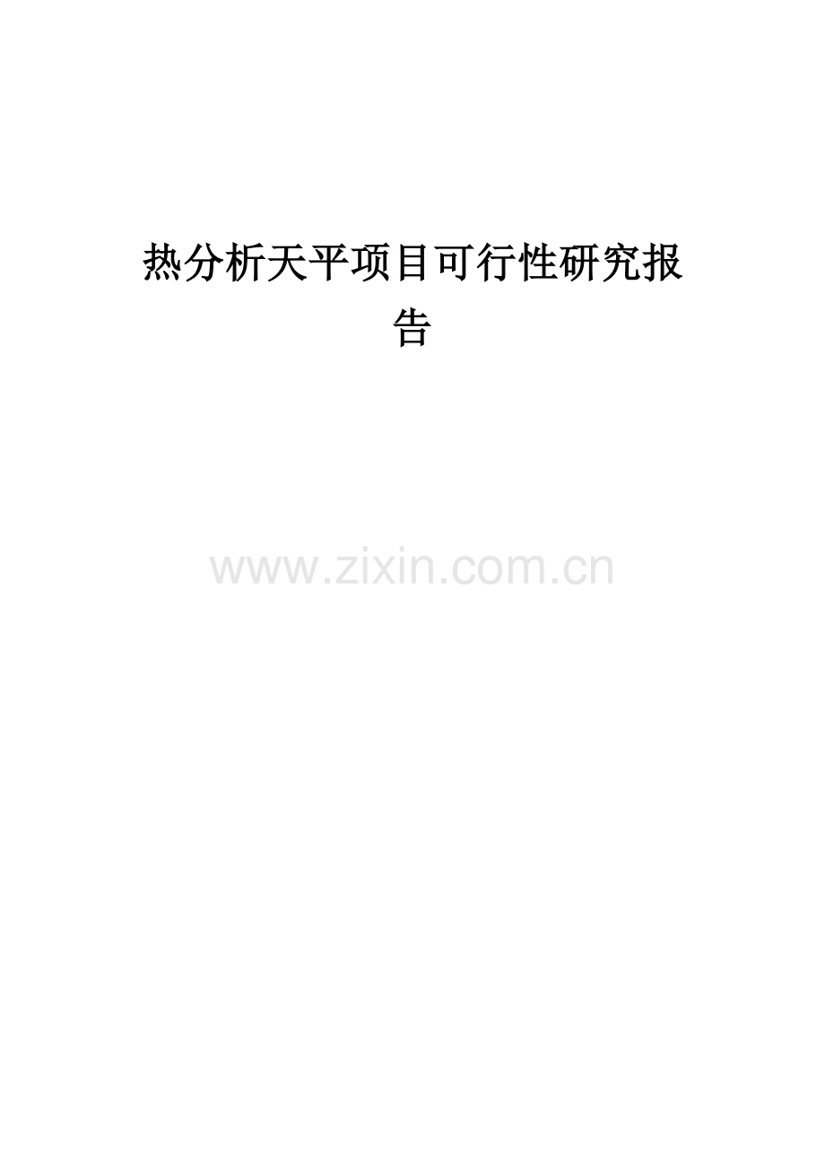 2024年热分析天平项目可行性研究报告.docx_第1页