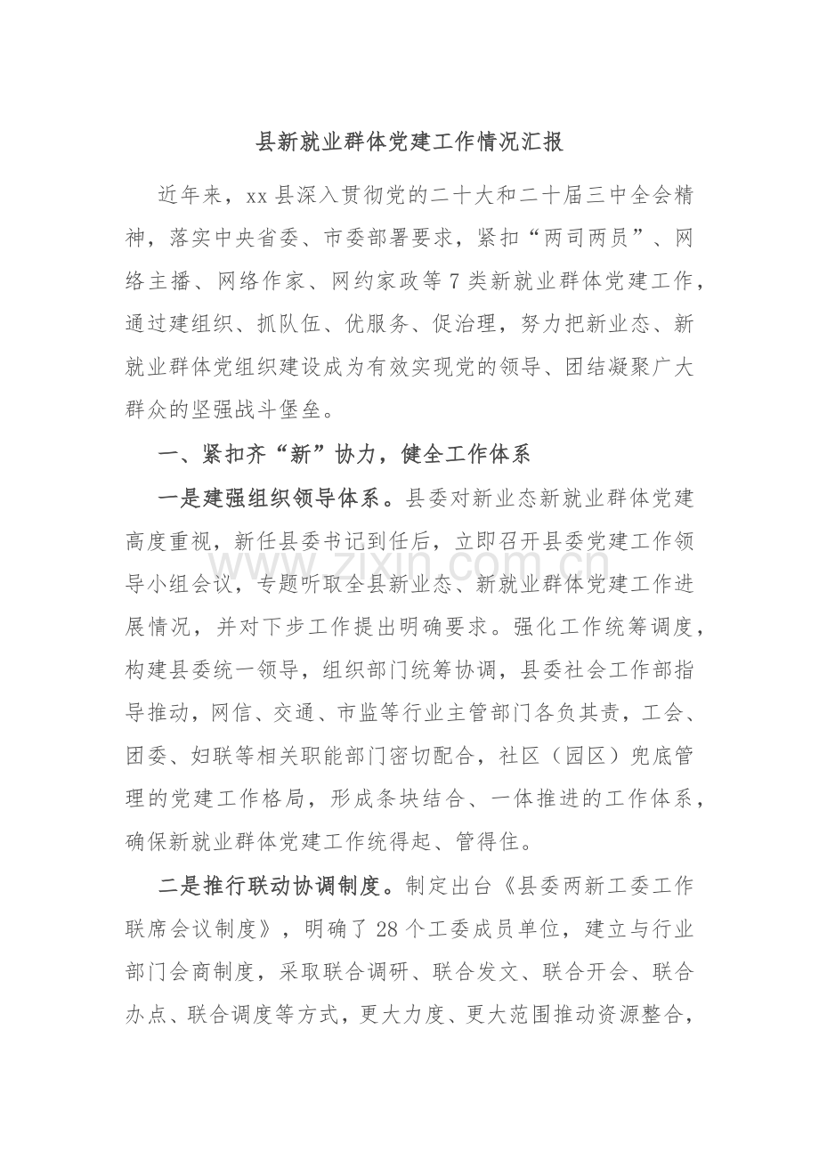 县新就业群体党建工作情况汇报.docx_第1页