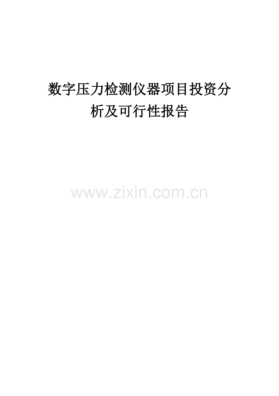 2024年数字压力检测仪器项目投资分析及可行性报告.docx_第1页