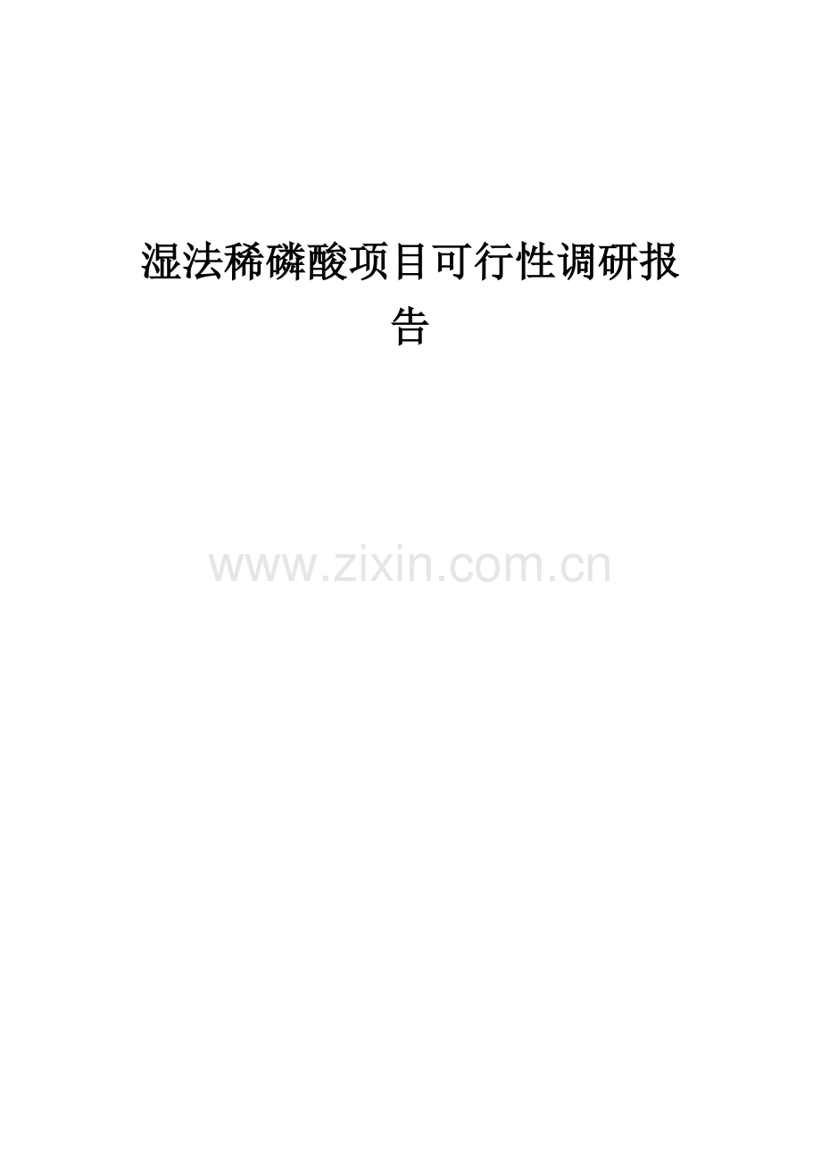 2025年度湿法稀磷酸项目可行性研究报告.docx_第1页