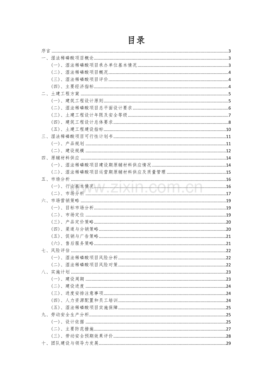 2025年度湿法稀磷酸项目可行性研究报告.docx_第2页