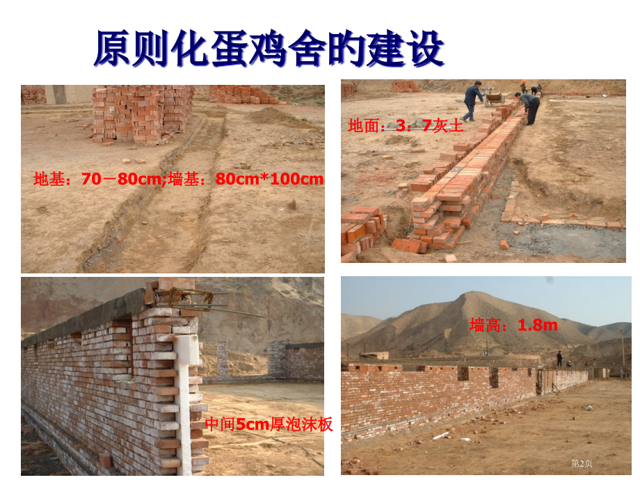 标准化蛋鸡舍建设和蛋鸡饲养.pptx_第2页