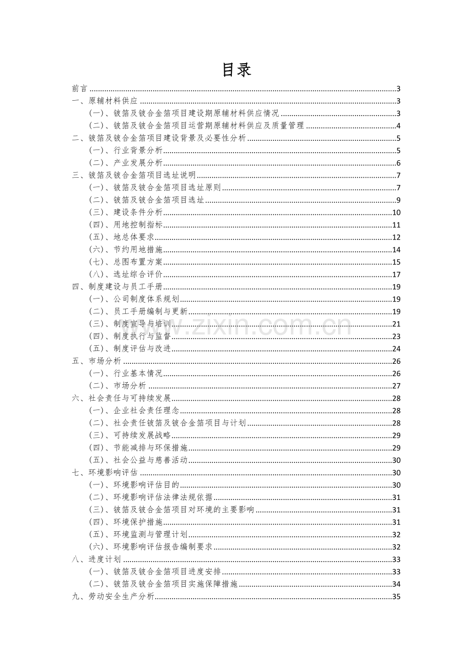 2024年铍箔及铍合金箔项目可行性研究报告.docx_第2页