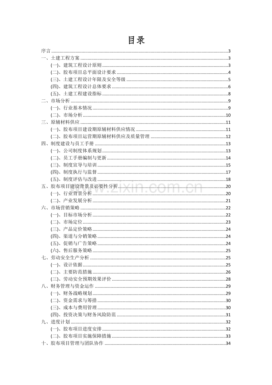 2024年胶布项目投资分析及可行性报告.docx_第2页