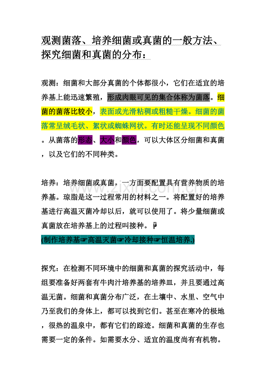 2023年八年级上册人教版生物学霸笔记.doc_第1页