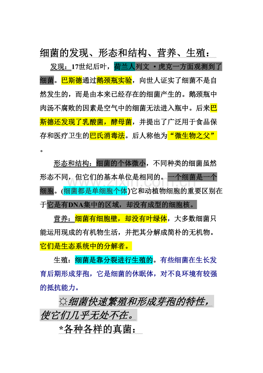 2023年八年级上册人教版生物学霸笔记.doc_第2页